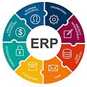 ERP-Professional Covid19
